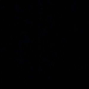 Meet your Posher, Almas